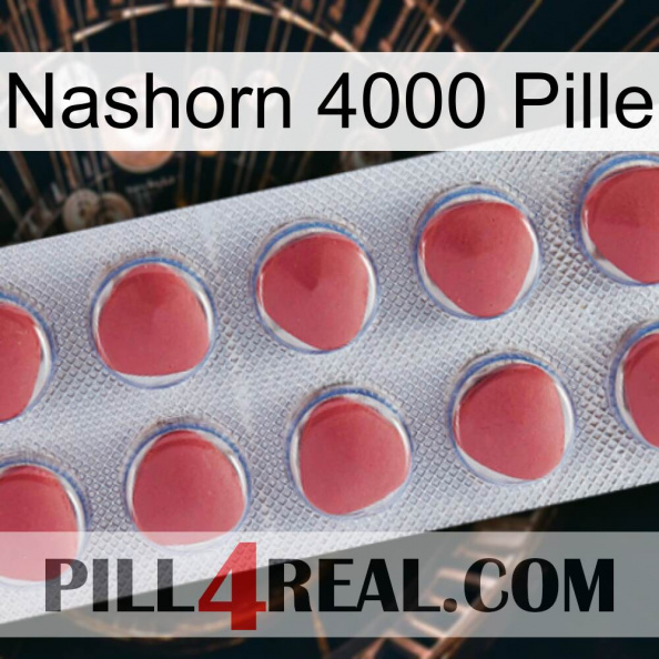 Rhino 4000 Pill 18.jpg